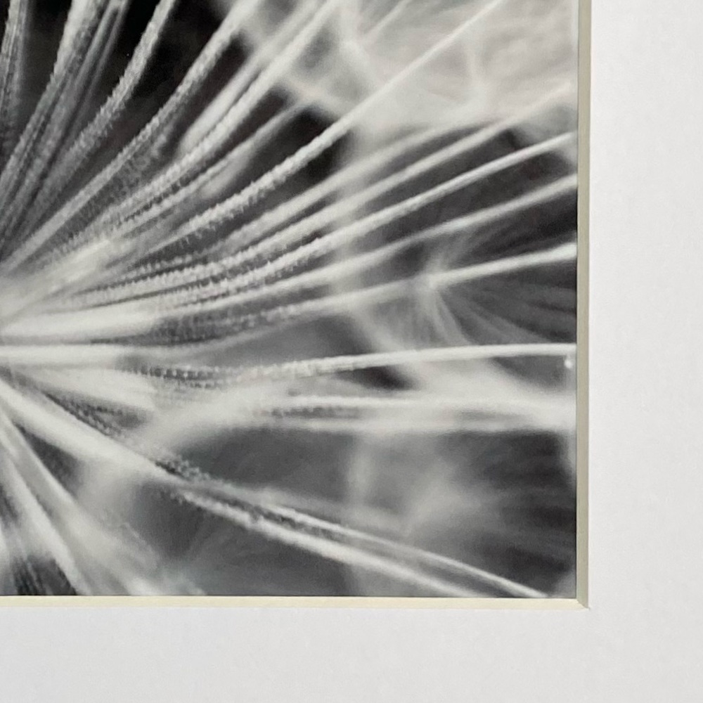 ❌SOLD❌DARK SUBLIME” ~ ORIGINAL ART by ~ @lisamichellebeckerphotography - Picture 4 of 15